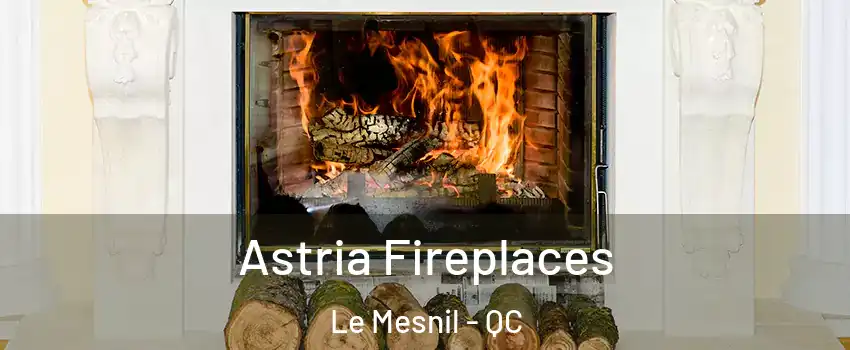  Astria Fireplaces Le Mesnil - QC