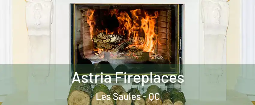  Astria Fireplaces Les Saules - QC
