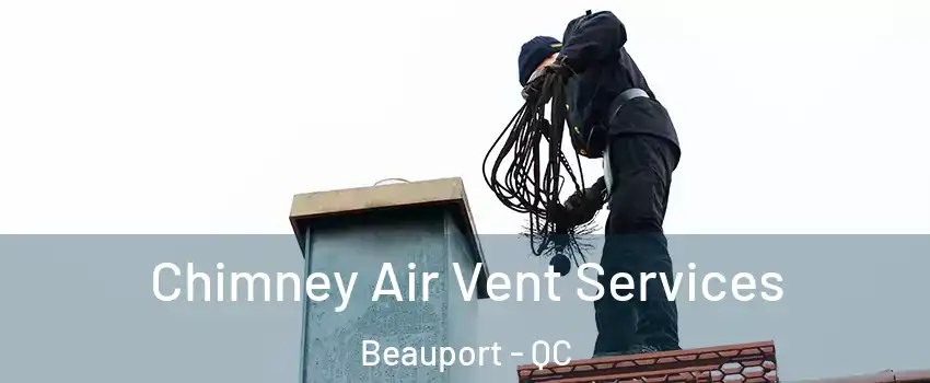  Chimney Air Vent Services Beauport - QC