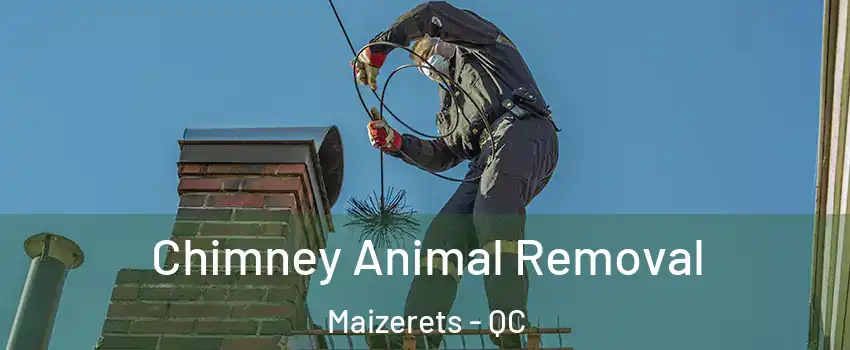  Chimney Animal Removal Maizerets - QC