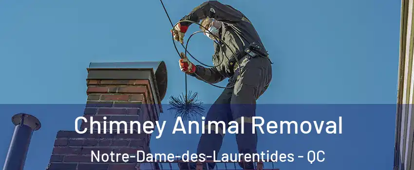  Chimney Animal Removal Notre-Dame-des-Laurentides - QC