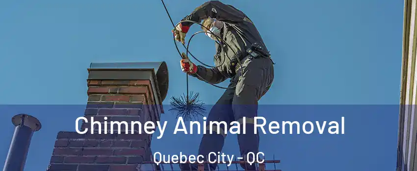  Chimney Animal Removal Quebec City - QC