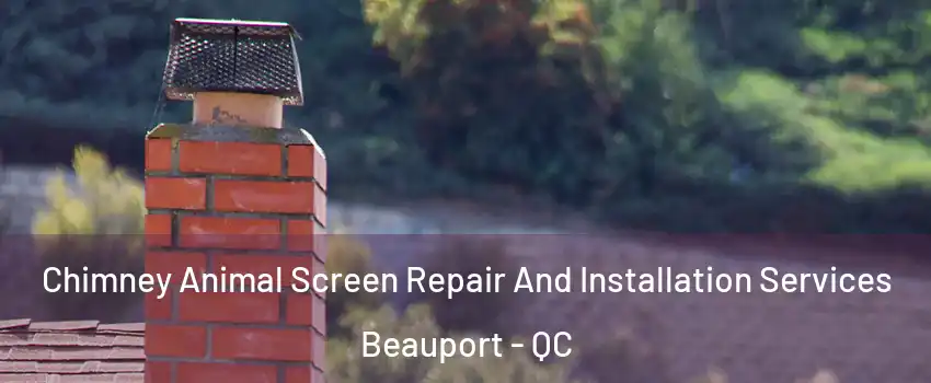  Chimney Animal Screen Repair And Installation Services Beauport - QC