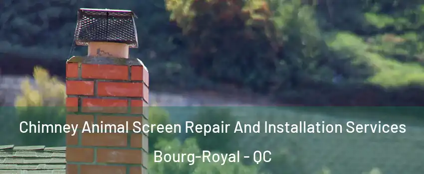  Chimney Animal Screen Repair And Installation Services Bourg-Royal - QC