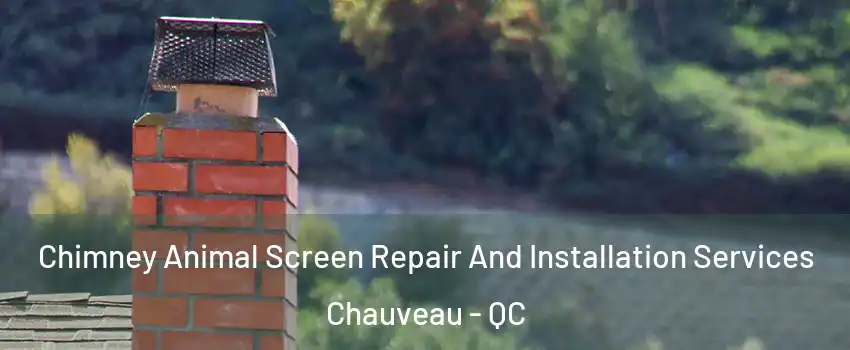  Chimney Animal Screen Repair And Installation Services Chauveau - QC