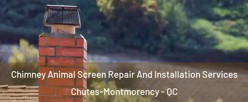  Chimney Animal Screen Repair And Installation Services Chutes-Montmorency - QC