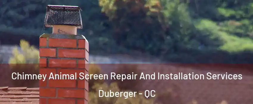  Chimney Animal Screen Repair And Installation Services Duberger - QC