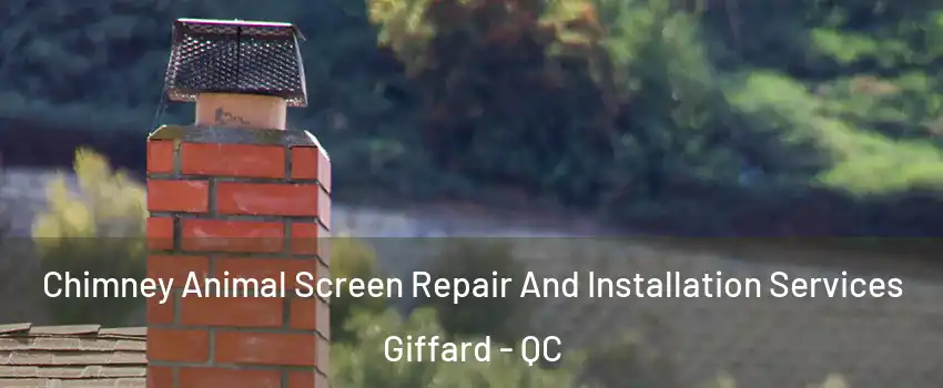  Chimney Animal Screen Repair And Installation Services Giffard - QC