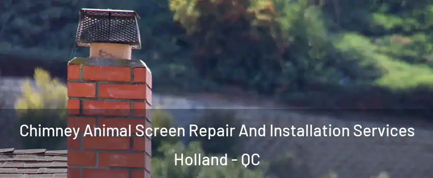  Chimney Animal Screen Repair And Installation Services Holland - QC