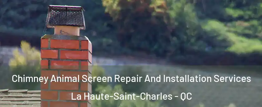  Chimney Animal Screen Repair And Installation Services La Haute-Saint-Charles - QC