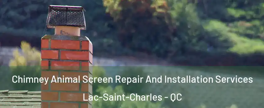  Chimney Animal Screen Repair And Installation Services Lac-Saint-Charles - QC