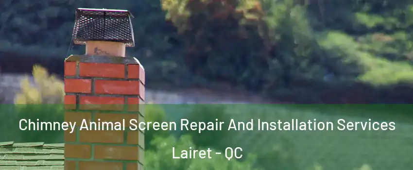  Chimney Animal Screen Repair And Installation Services Lairet - QC