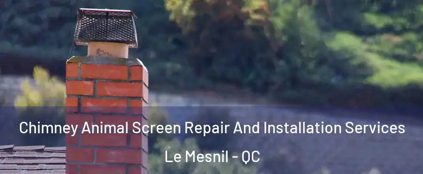  Chimney Animal Screen Repair And Installation Services Le Mesnil - QC