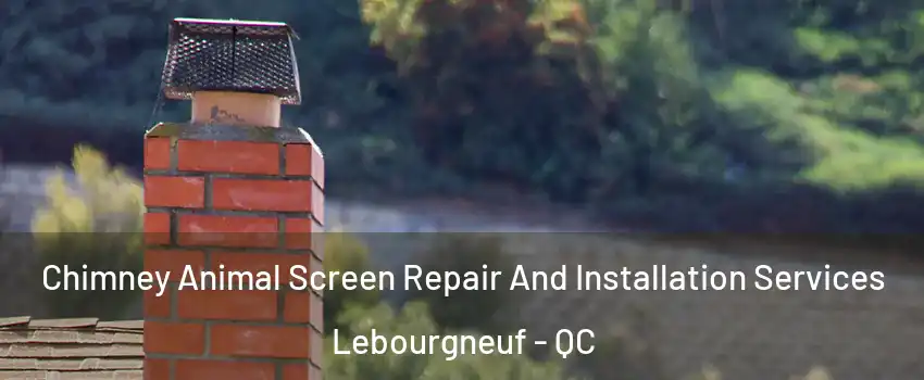  Chimney Animal Screen Repair And Installation Services Lebourgneuf - QC