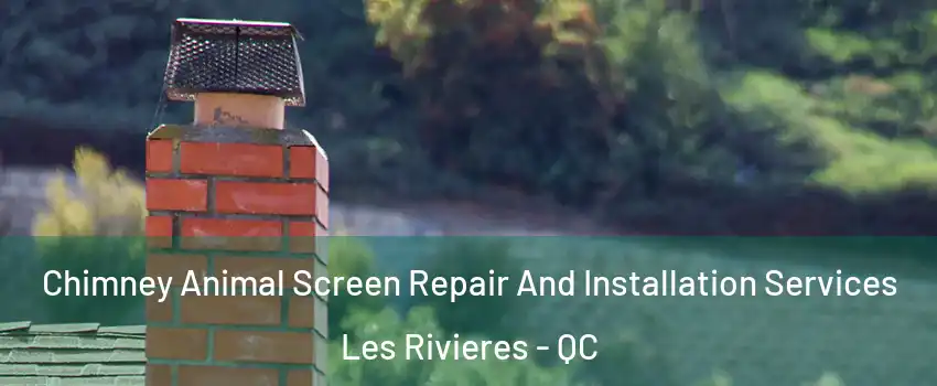  Chimney Animal Screen Repair And Installation Services Les Rivieres - QC