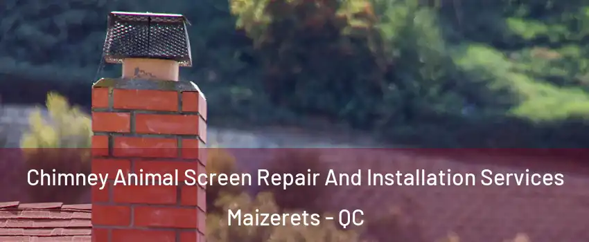  Chimney Animal Screen Repair And Installation Services Maizerets - QC
