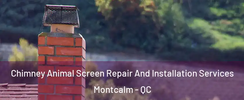  Chimney Animal Screen Repair And Installation Services Montcalm - QC