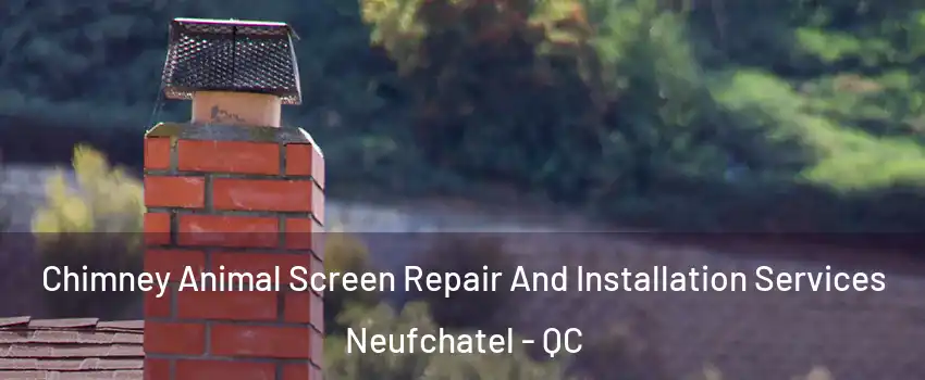  Chimney Animal Screen Repair And Installation Services Neufchatel - QC