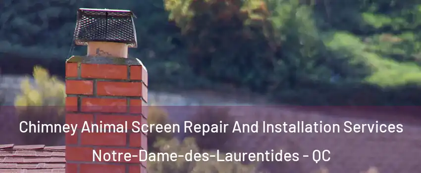  Chimney Animal Screen Repair And Installation Services Notre-Dame-des-Laurentides - QC