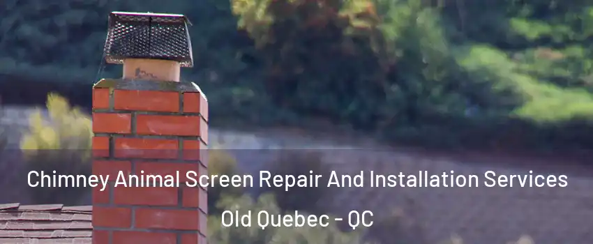  Chimney Animal Screen Repair And Installation Services Old Quebec - QC