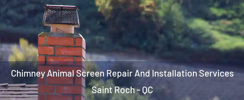  Chimney Animal Screen Repair And Installation Services Saint Roch - QC