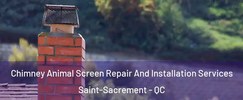  Chimney Animal Screen Repair And Installation Services Saint-Sacrement - QC