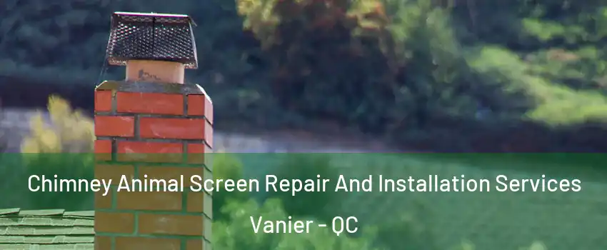 Chimney Animal Screen Repair And Installation Services Vanier - QC