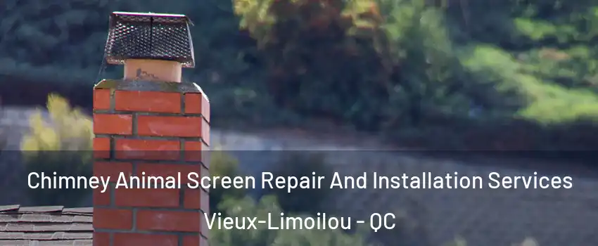  Chimney Animal Screen Repair And Installation Services Vieux-Limoilou - QC