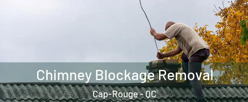  Chimney Blockage Removal Cap-Rouge - QC