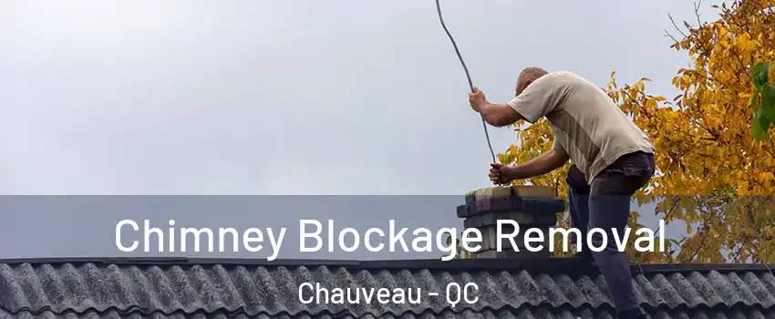  Chimney Blockage Removal Chauveau - QC