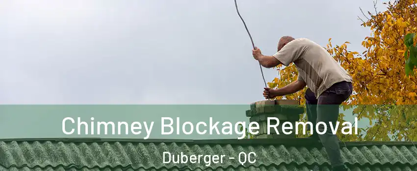  Chimney Blockage Removal Duberger - QC