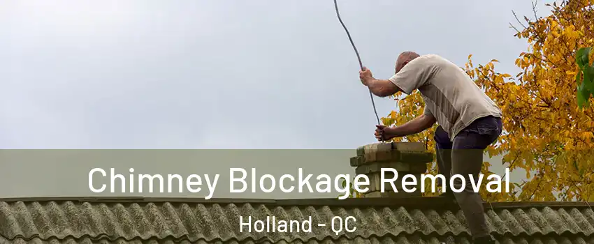  Chimney Blockage Removal Holland - QC