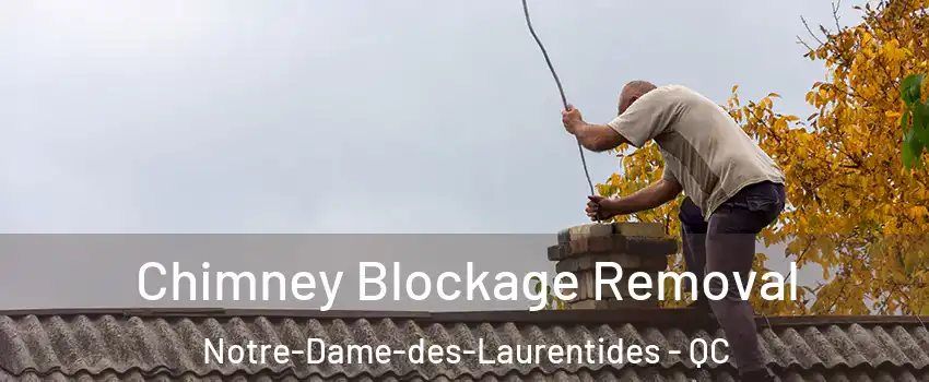 Chimney Blockage Removal Notre-Dame-des-Laurentides - QC