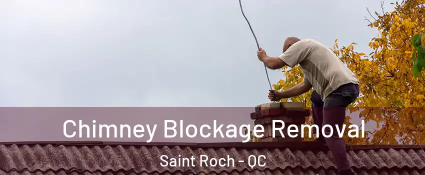  Chimney Blockage Removal Saint Roch - QC