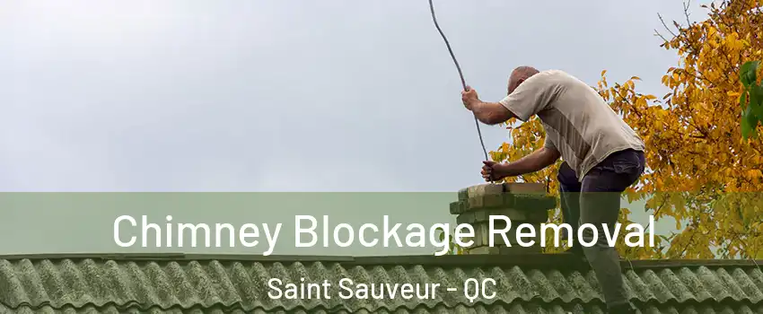  Chimney Blockage Removal Saint Sauveur - QC