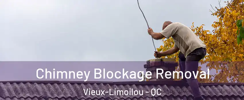  Chimney Blockage Removal Vieux-Limoilou - QC