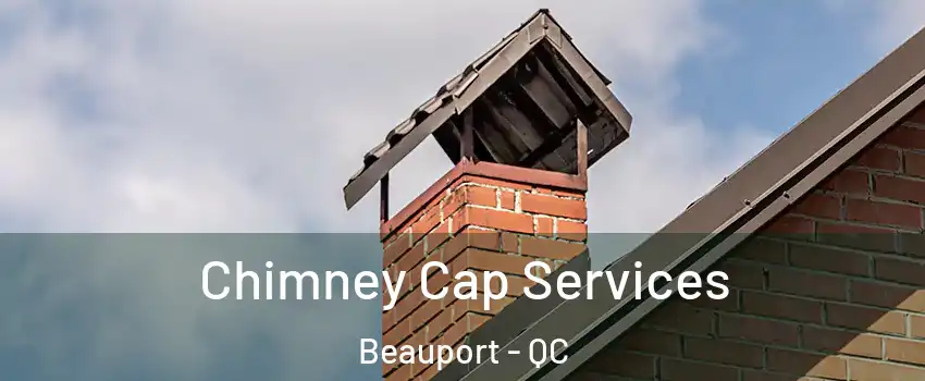 Chimney Cap Services Beauport - QC