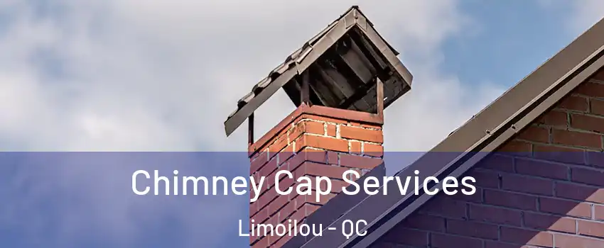  Chimney Cap Services Limoilou - QC