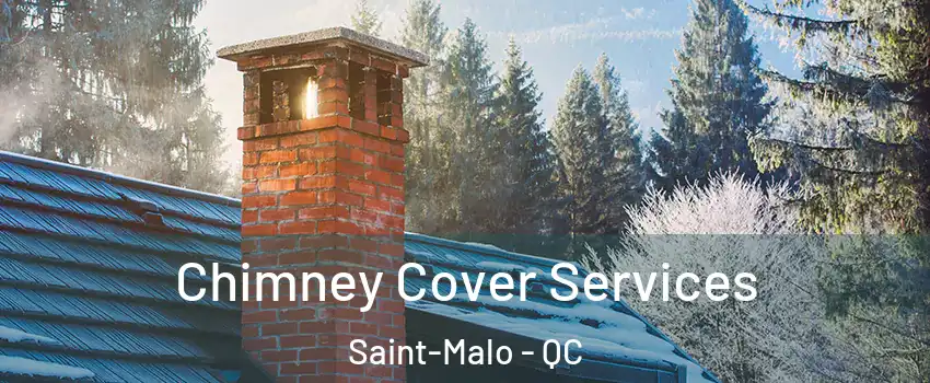  Chimney Cover Services Saint-Malo - QC