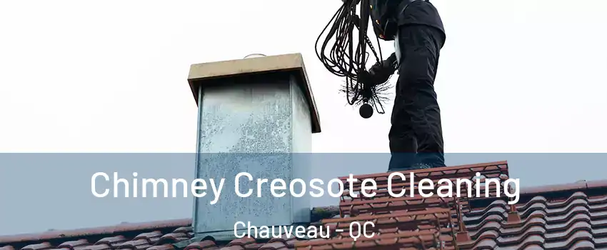  Chimney Creosote Cleaning Chauveau - QC