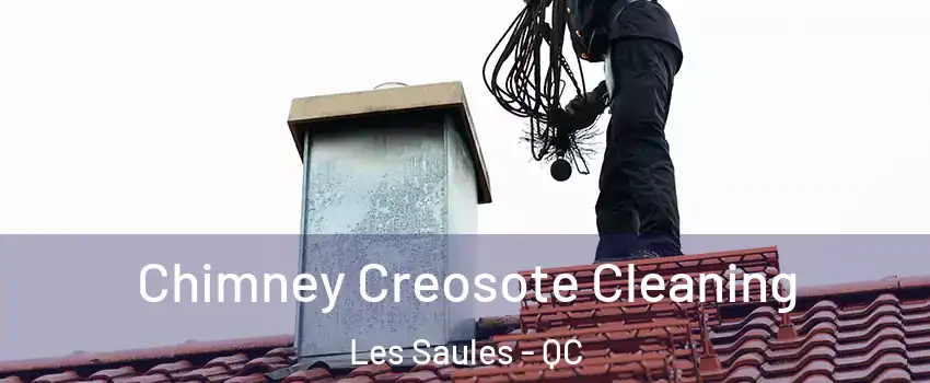  Chimney Creosote Cleaning Les Saules - QC
