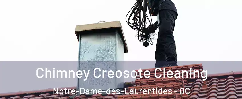  Chimney Creosote Cleaning Notre-Dame-des-Laurentides - QC