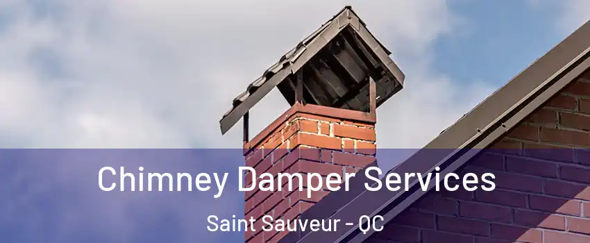 Chimney Damper Services Saint Sauveur - QC