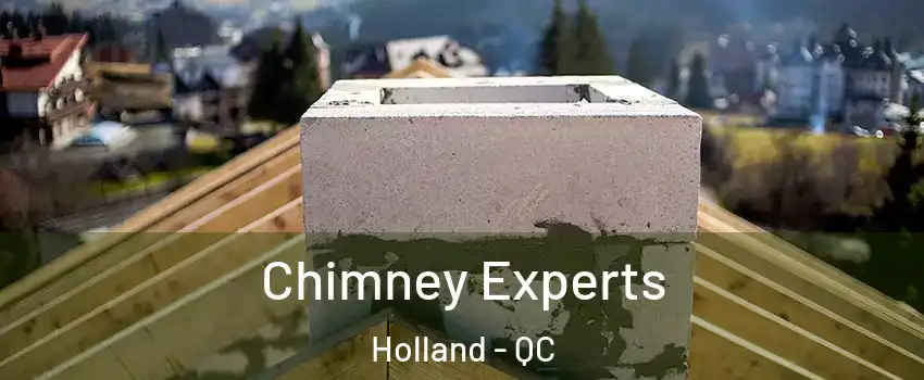  Chimney Experts Holland - QC