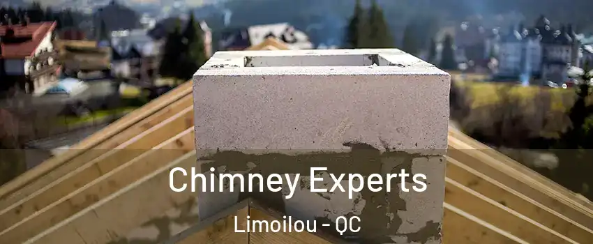  Chimney Experts Limoilou - QC