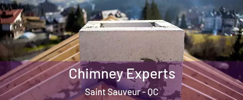  Chimney Experts Saint Sauveur - QC