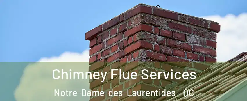  Chimney Flue Services Notre-Dame-des-Laurentides - QC