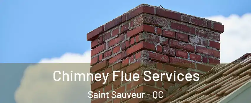 Chimney Flue Services Saint Sauveur - QC