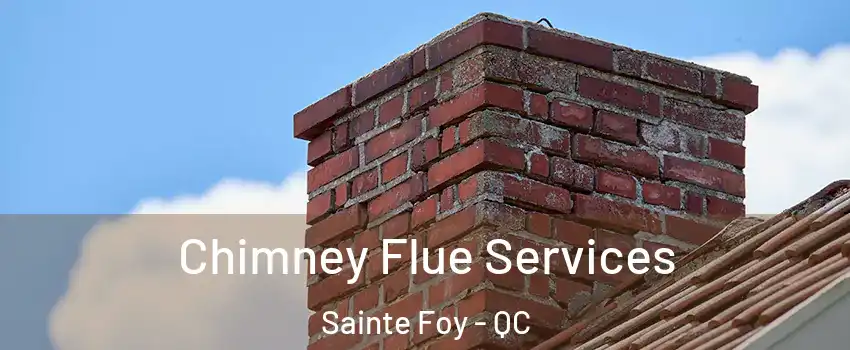  Chimney Flue Services Sainte Foy - QC