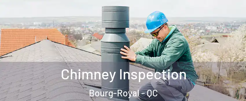  Chimney Inspection Bourg-Royal - QC